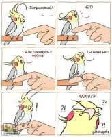 tlgpicrandom-pr.jpg