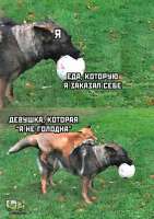 tlgpicrandom-o4.jpg