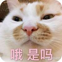 CAACAgIAAxUAAWhhFxK9UfC9GBnRkW4RV1Pqwf5AAK6WwACrsOgSwHUnmi8zvgINgQ.jpg