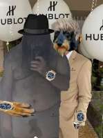 CAACAgIAAxUAAWhhFx9IhlU9wOt9K3A-ASQWA4FAAAJeZwACmUQBSzikExXqH88hNgQ.jpg