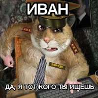 CAACAgIAAxUAAWhhGLqb75tr2Rj2CE8DeZ-e5sSAAJuPgACXE0JS8TzS-vZ4QjiNgQ.jpg