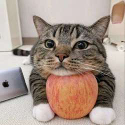 IMG0210.jpeg