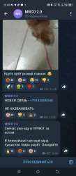 Screenshot20250711-164037.jpg