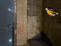 IMG3701.jpeg