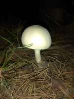 IMG20250820211653.jpg