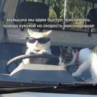 45e708771498adced3fe527b335fba4a.jpg