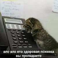 IMG20250810120638970.jpg