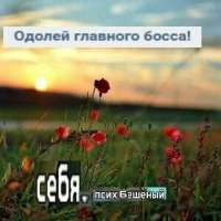 9868c94aa311cfd3fcb5f716b3dea633.jpg