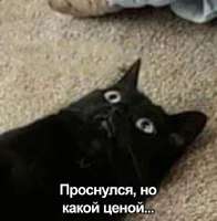 6eb3fcb6c0f90124bd2910124857d297.jpg