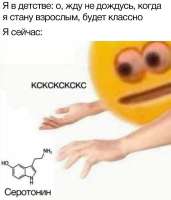 IMG20250822191045677.jpg