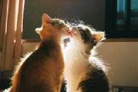IMG20250808222715165.jpg
