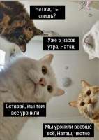 a0fc9c60c0f025e75e688d2742bc5953.jpg