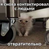 10ec1d94d73e475a74421fc553189f17.jpg
