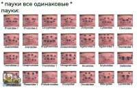 tlgpicrandom-v9.jpg