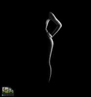 tlgpicrandom-29.jpg