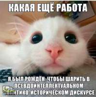 tlgpicrandom-dt.jpg