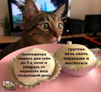 tlgpicrandom-n3.jpg