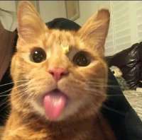 IMG1443.jpeg