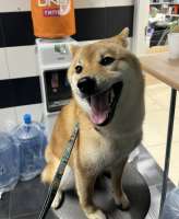 IMG8058.jpeg
