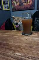 IMG7983.jpeg