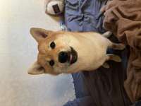 IMG7605.jpeg