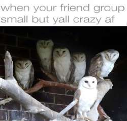 17472076159390.jpg