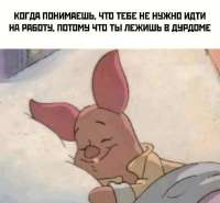 IMG20250601044148161.jpg