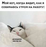 38970083.png