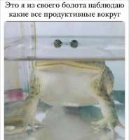 2bfn6hFxdbEXniPpN2eBn47iehh06bAOYB3iWSstO0sjX7nCRNjITPS7yu5MrwAXl2H8yKvpfFisLfeO1s2vmN-C.jpg