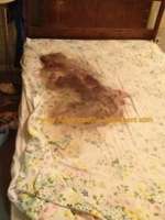 unattended-death-e1391729006252-1200x1596 (1).jpg