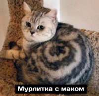 17561007193710s.jpg