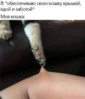 17454025720463.jpg