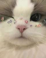 lAaFCwdYGMka85Ndjph1oaejotds7F3CdFTPez7tVOMhSXGdFosz63H74tgppljdxOmeNqqAYSKmcYqTxCX-psY.jpg