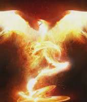 NX3eoyYpoSLDXdRP0xbO1spbMjs-1920.webp
