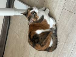 IMG7188.jpeg