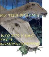 822x962