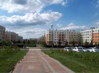 1256x939