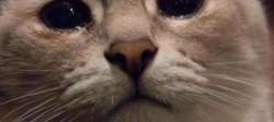 600x270