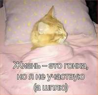 IMG20250705133847337.jpg