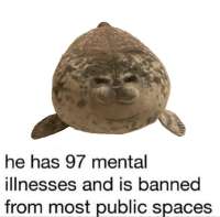 a1f2a3c5-a865-4ae1-99cb-ca4bcaca4267.jpeg