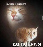 IMG20250824011733722.jpg