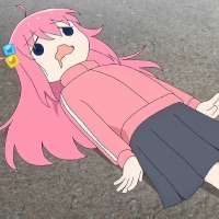 IMG5824.jpeg