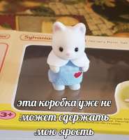 IMG8989.jpeg