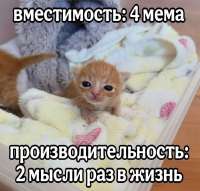 1787344811401.jpg