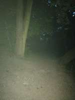 IMG20250621223219.jpg