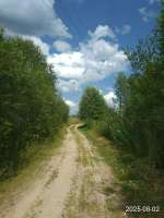 IMG20250802124916.jpg