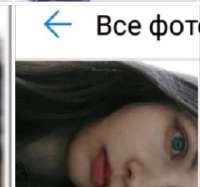 175455717539193947.jpg
