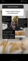 353CA993-81AB-4261-8DE1-596C6A9A708C.jpeg