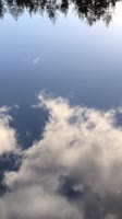 2467053896270704819835263927229992570361222n.mp4