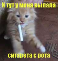 1637326538720.png